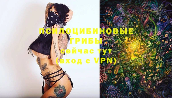 МДПВ Алзамай