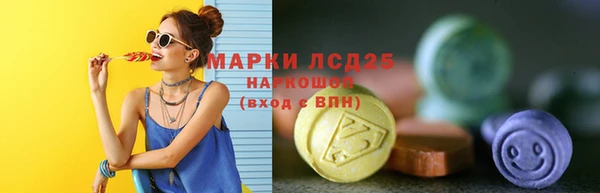 амф Алексин