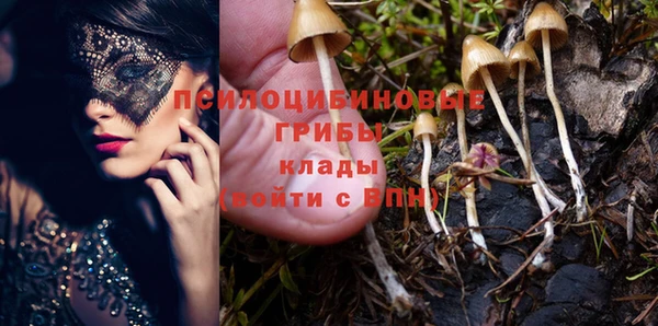бутират Переславль-Залесский