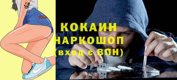 МДПВ Алзамай
