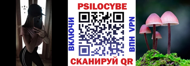 сколько стоит  Пикалёво  Псилоцибиновые грибы MAGIC MUSHROOMS 