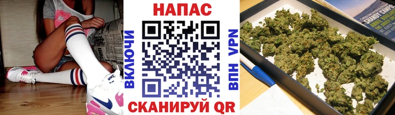 МАРИХУАНА гибрид  где купить   Пикалёво 